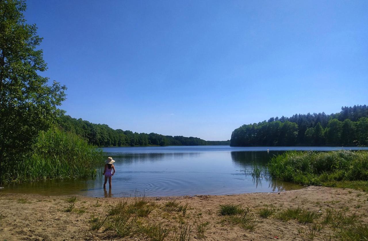 Kaszuby Domek Nad Jeziorem, Las, Grill, Ognisko, Taras, 6 Osob Bozepole Krolewskie Экстерьер фото
